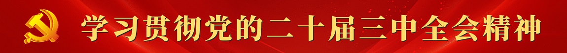 學習貫徹黨的二十屆三中全會精神